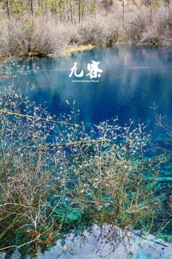 腐烂国度
